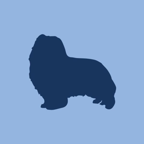 Shetland Sheepdog Toddler Full Zip Sweatshirt Online Sale - Image 2